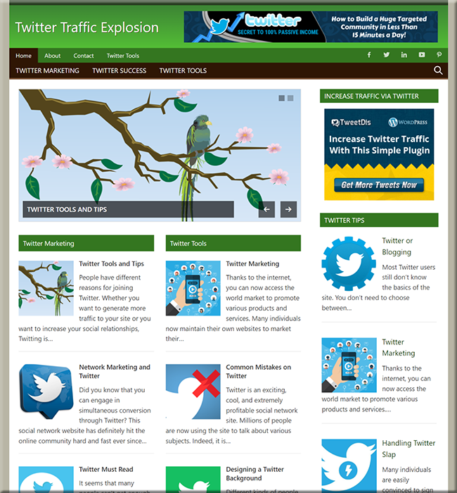 twitter traffic explosion affiliate website