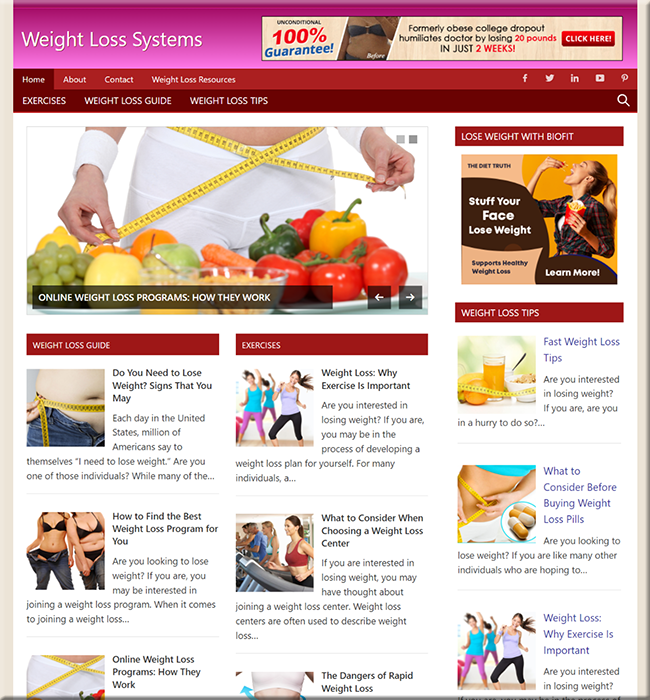 weight loss systems affiliate website