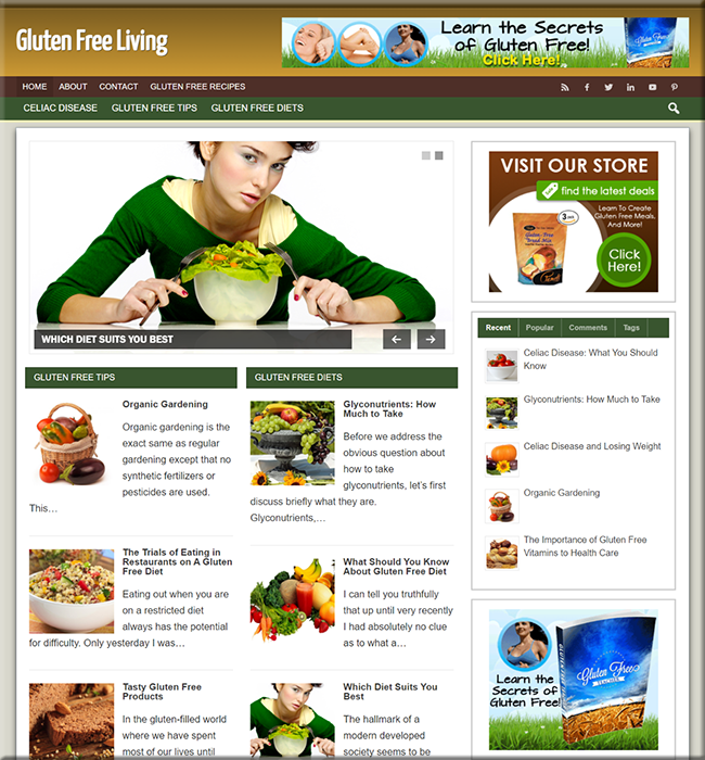 gluten free recipes affiliate website
